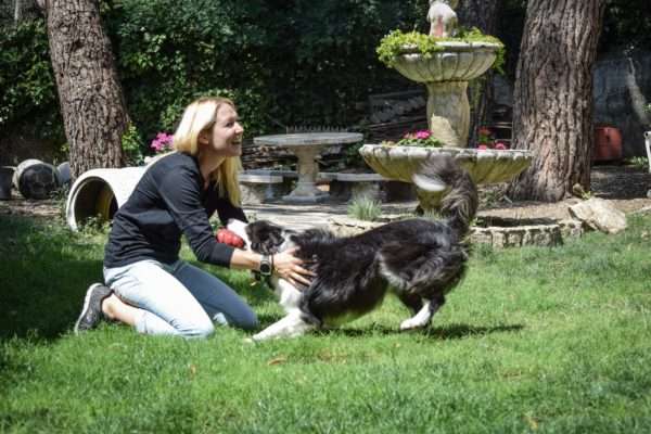 Transforma el comportamiento de tu perro mientras disfrutas con él