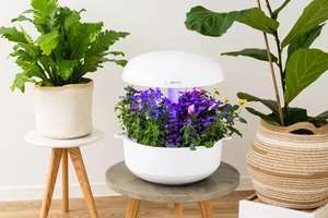 Cultiva Tus Especias En Casa Con El Nuevo Huerto Doméstico de Bosch SmartGrow Life