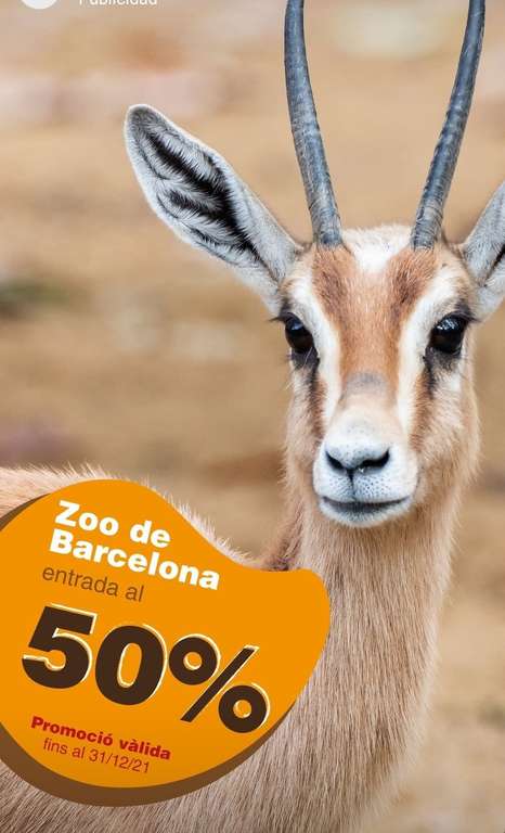 Entrada zoo de barcelona al 50% hasta final de año