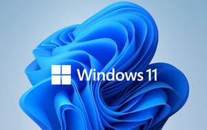 Venta al por menor de Windows 11 Professional