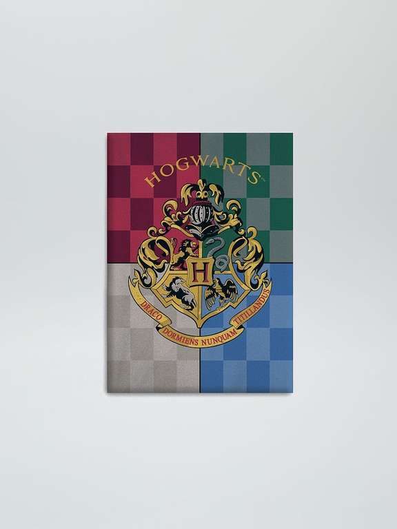 Manta 'Harry Potter' - multicolor