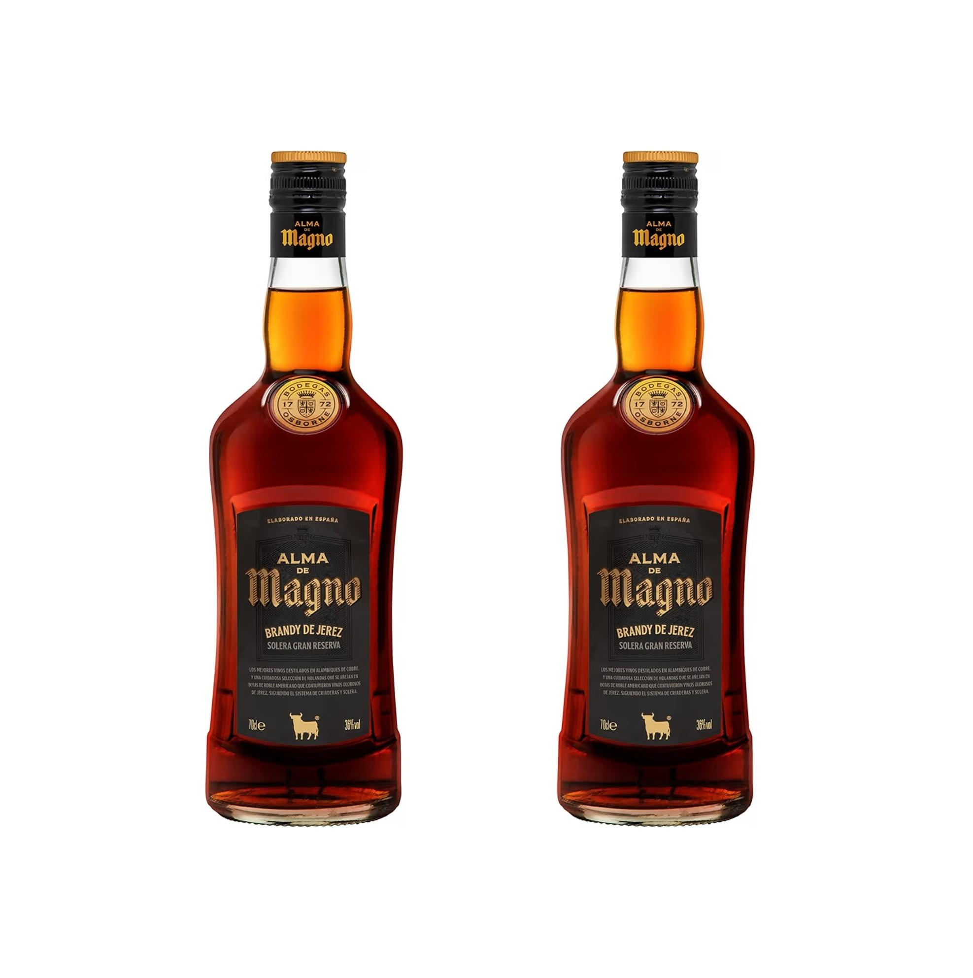 Añadir 2 unidades. Alma de Magno Brandy Jerez Solera Gran Reserva - 1 botella de 70 cl