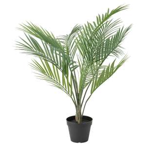 FEJKA (Planta artificial, int/ext chrysalidocarpus lutescens, 12 cm)