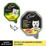 Cesar Comida Húmeda para Perros, Recetas de la Huerta en Paté y Gelatina (Pack de 14 Tarrinas x 150g) Compra recurrente