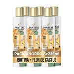 Pantene Pro-V--(6 UNIDADES x 225 ML) Con Biotina, Extracto De Cactus Y Aceite De Argán