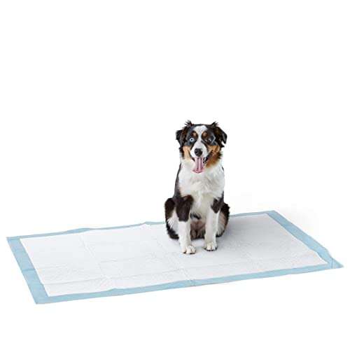 30 Almohadillas tamaño gigante de adiestramiento de perros y cachorros, diseño de 5 capas a prueba de fugas con superficie de secado rápido