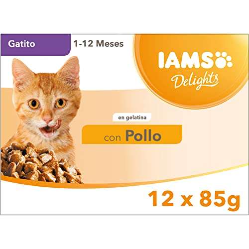 IAMS Delights Alimento Húmedo con Pollo en Gelatina Para Gatitos, 12 x 85 g