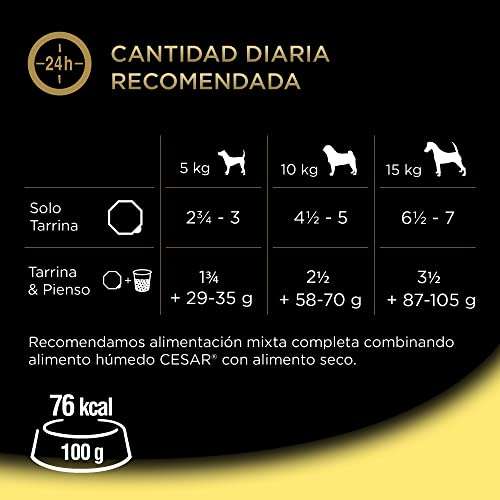 Cesar Comida Húmeda para Perros, Recetas de la Huerta en Paté y Gelatina (Pack de 14 Tarrinas x 150g) Compra recurrente