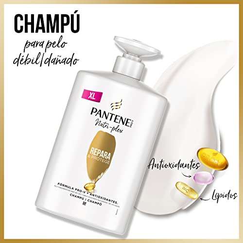 Pantene Champú Nutri-Plex Repara y Protege Nutri Pro-V, Fórmula Pro-V + Antioxidantes, Para Pelo Seco y Dañado, 1000 ml