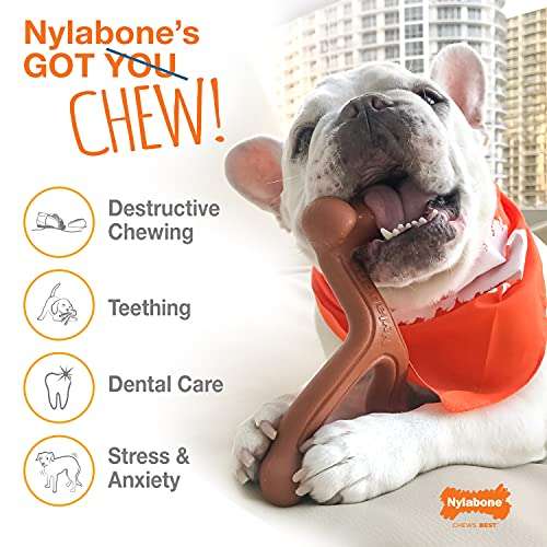 Nylabone - Extreme Chew Pro Action