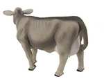 Safari Brown Swiss Cow