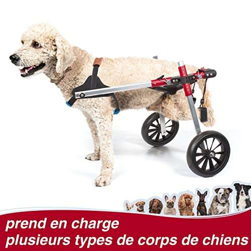 Anmas Power Silla de ruedas para perros, carrito ajustable para perros discapacitados (M, rojo).