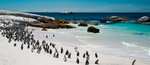 Sudáfrica!!! Safari en Kruguer y Ciudad del Cabo 9 días por 1499 euros PxPm2 (vuelos+traslados+alojamiento,actividades, algunas comidas)etc)
