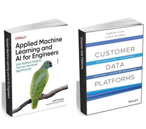 Aprendizaje automático aplicado e inteligencia artificial para ingenieros / Plataformas de datos de clientes