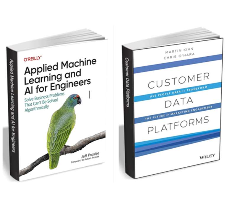 Aprendizaje automático aplicado e inteligencia artificial para ingenieros / Plataformas de datos de clientes