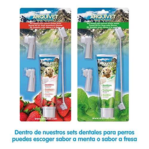 Arquivet Set Dental fresa - cepillos pasta dentrífica - higiene perros