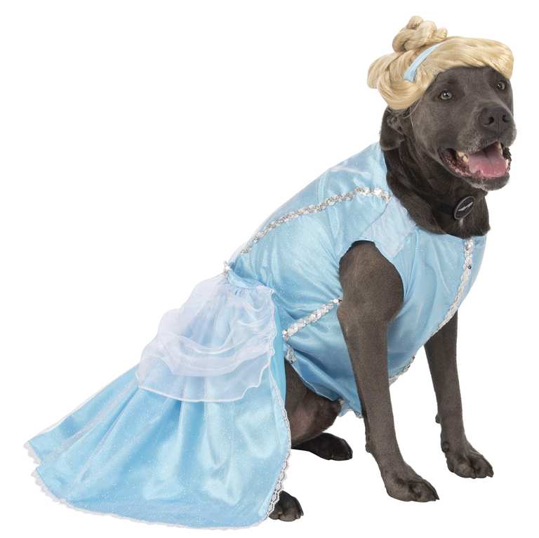 Imagen de Disfraz de Cenicienta para Perros