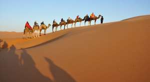 Vuelos+hoteles MP+ animación+traslados+excursiones+4x4 por 1735 euros. Marruecos, hasta Enero de 2024.