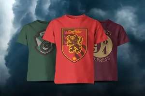 2 Camisetas Harry Potter por 17.99€ y el envío Gratis