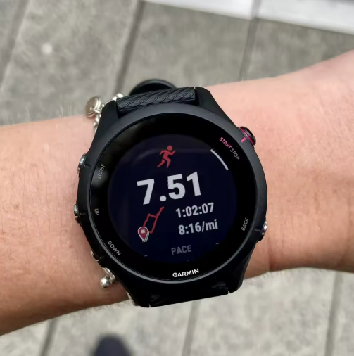Smartwatch Deportivo! Garmin Forerunner 255 (Slate Gray) por solo 158,94 € con envío desde España PAGO KLARNA