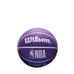 Pelota Infantil Wilson NBA Baloncesto