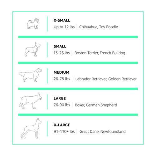 Amazon Basics - Caseta para mascotas, elevada, portátil, pequeña, azul