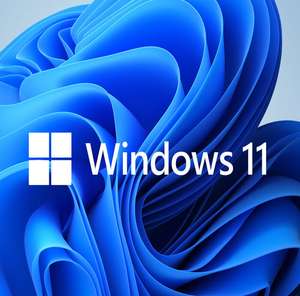 Microsoft Windows 11 Pro OEM KEY (también Windows 10 Pro)