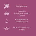 Viñas del Vero Violeta - Vino Tinto - Syrah y Garnacha - D.O. Somontano - 3 botellas de 750 ml