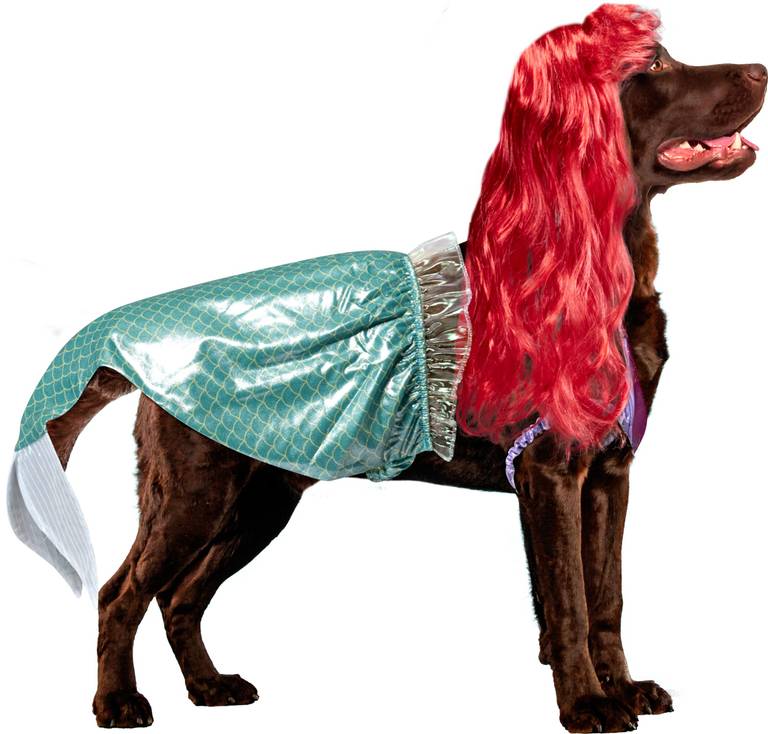 Disfraz de Ariel (La Sirenita) para Mascota