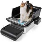 Arenero para gatos adultos, de acero inoxidable, y con complementos.