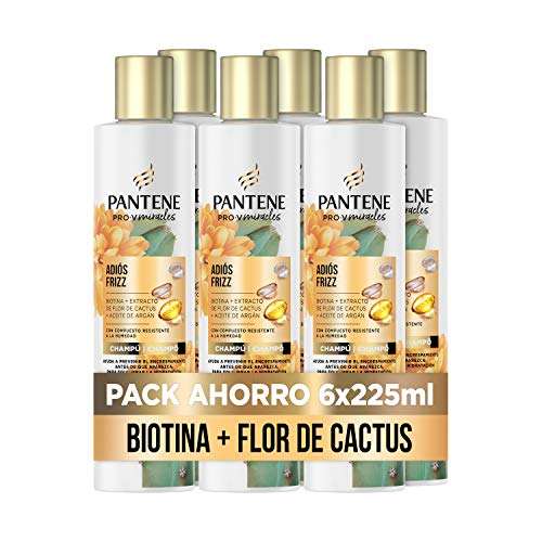 Pantene Pro-V Miracles Adiós Frizz Champú | Con Biotina, Extracto De Cactus Y Aceite De Argán | Para Pelo Encrespado, 6 x 225ml