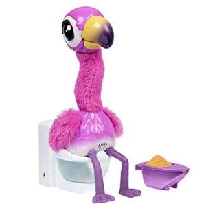 Flamingo the poop