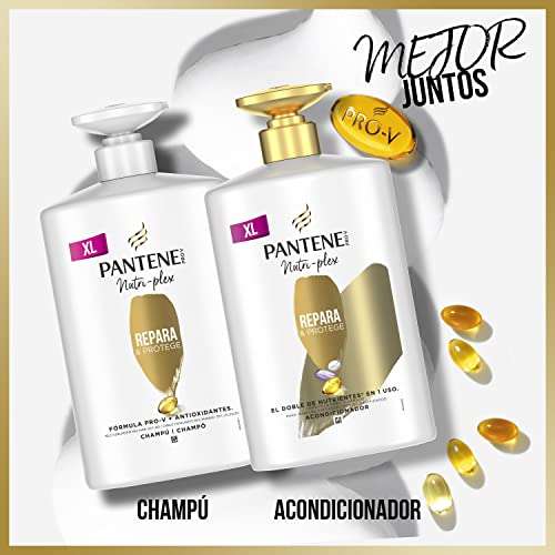Pantene Champú Nutri-Plex Repara y Protege Nutri Pro-V, Fórmula Pro-V + Antioxidantes, Para Pelo Seco y Dañado, 1000 ml