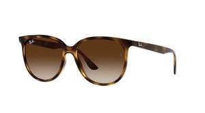 Gafas RAY BAN Habana marrón / gafas Carrera por 22,31€ en descripción