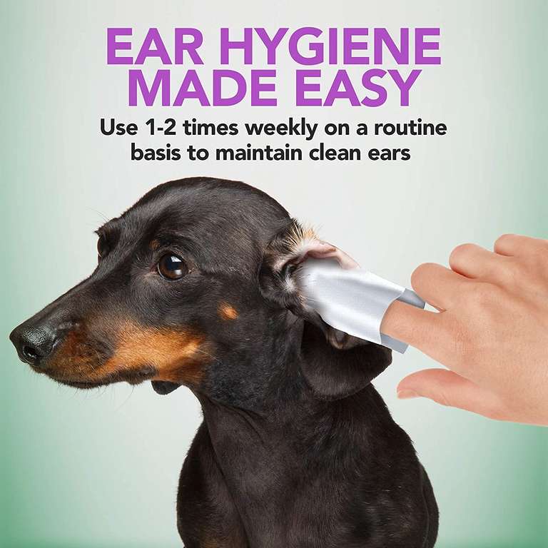 50 almohadillas para limpieza auditiva canina