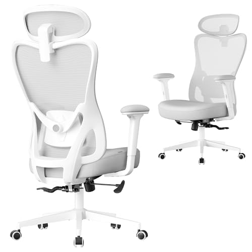 Silla de Oficina Ergonómica SONGMICS OBN066GD01 (Soporte Lumbar y Reposacabezas Ajustables | Carga 150 kg | Gris Paloma)