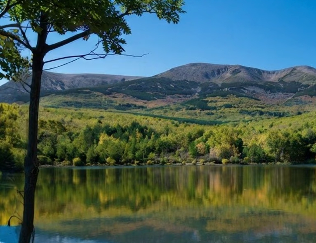 ÓLVEGA: ese rincón de Soria que merece una escapada. HOTEL 3*+DESAYUNO+NIÑO GRATIS (sept-oct)