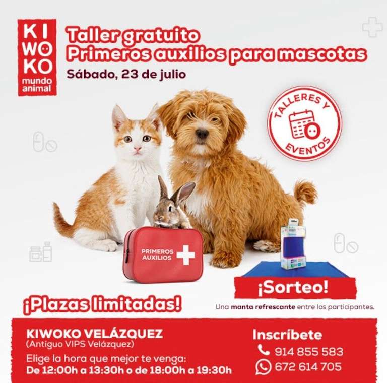 Taller gratuito de primeros auxilios para mascotas Kiwoko (Madrid)