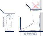 Zapatillas Segarra (Varias tallas)