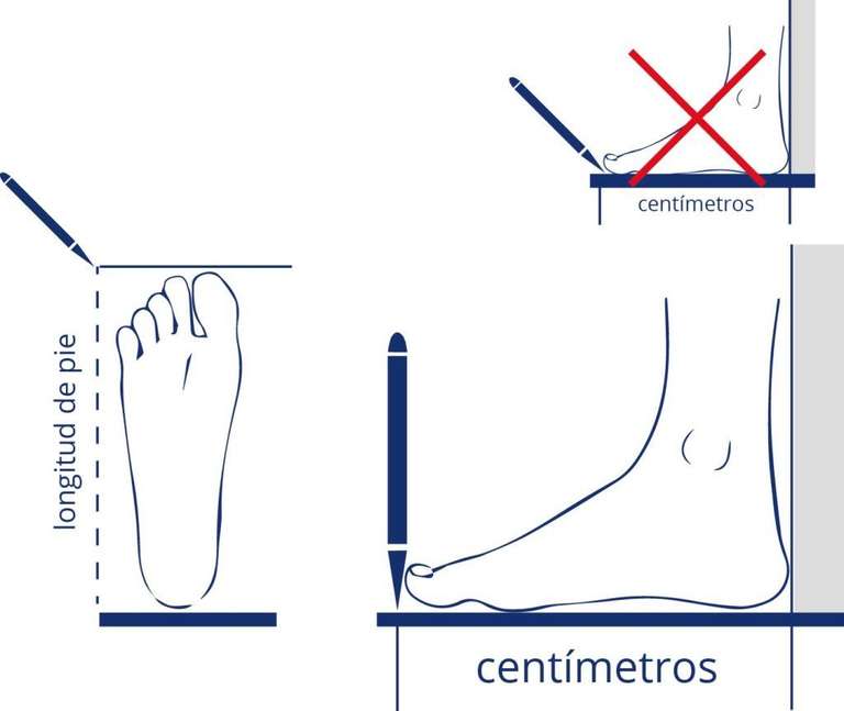 Zapatillas Segarra (Varias tallas)
