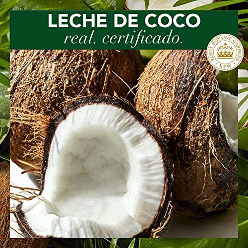 Herbal Essences Champú Hidratante Con Leche De Coco, Para Pelo Seco 6x250