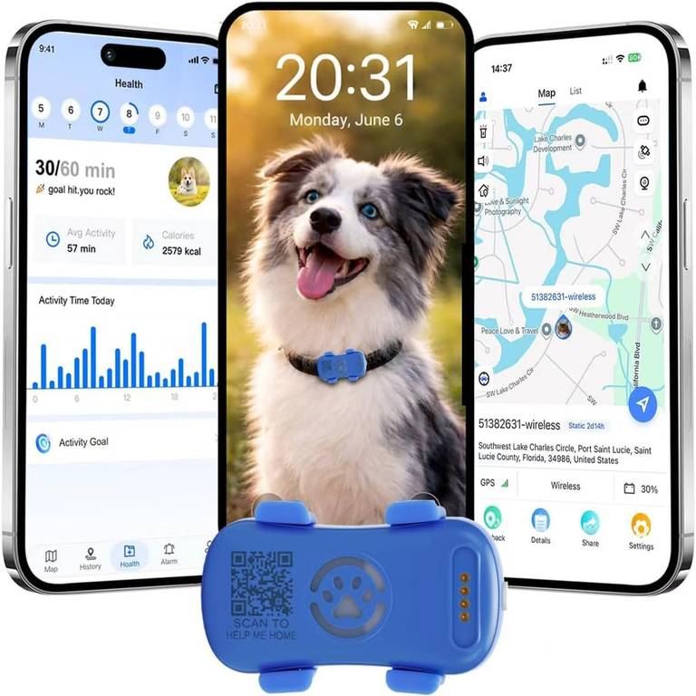 Collar GPS Perros Seguimiento satelital en Vivo 4G