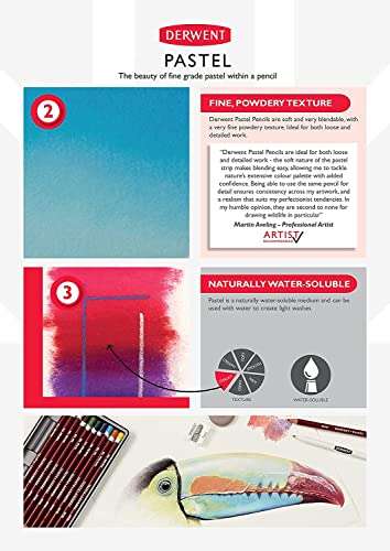 Lápices Derwent Pastel para Dibujar y Escribir, Set de 12, Ideal para Mezclar y Colorear, Calidad Profesional