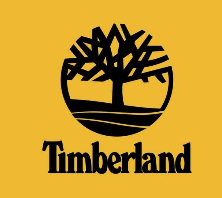 Imagen de Recopilación zapatillas Timberlan