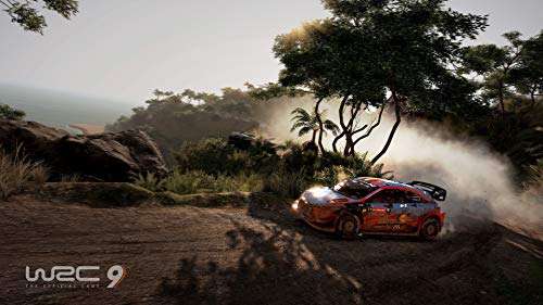 WRC 9. World Rally Championship 9: The Official Game - Versión Española (Nintendo Switch)