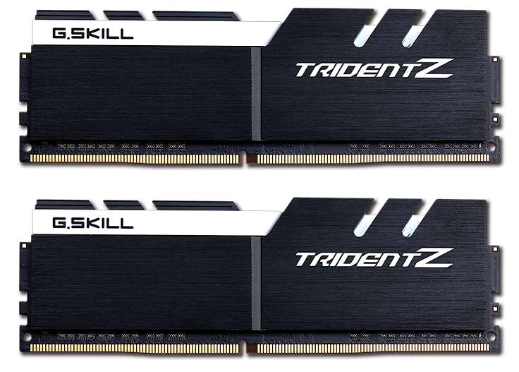 G.SKILL Trident Z 32GB (2x16GB) RAM DDR4 3200 CL16 negro/blanco