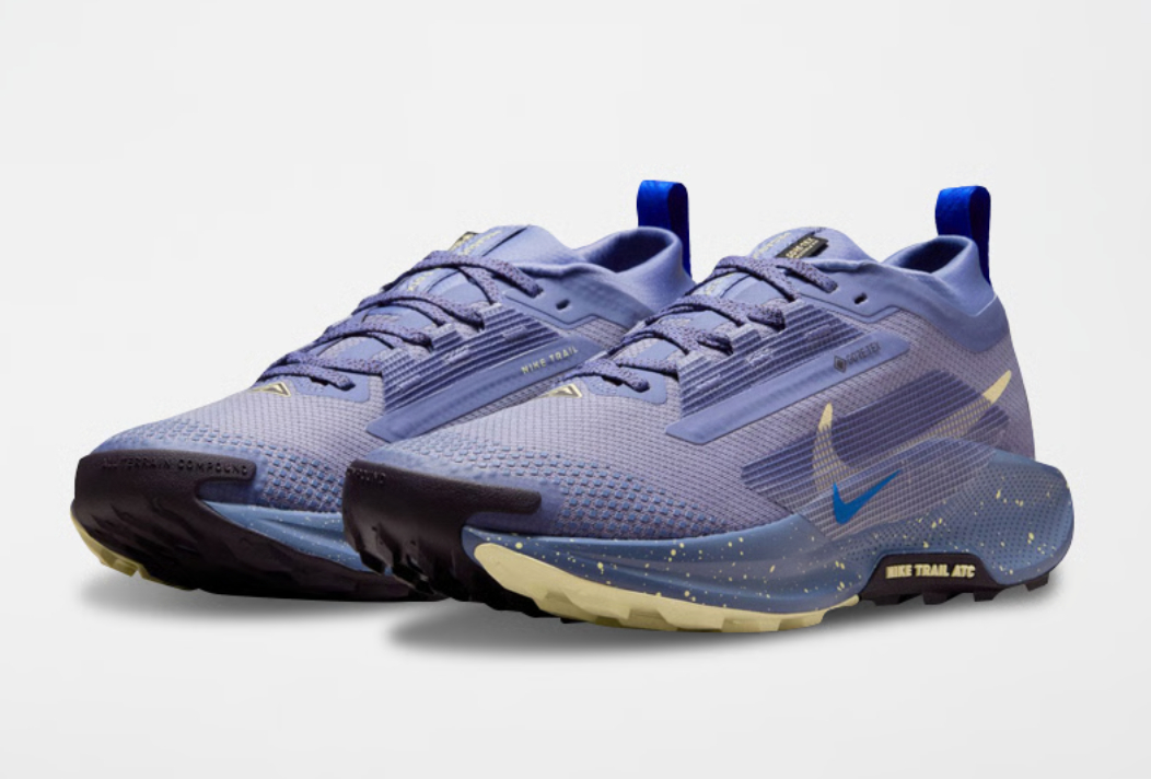 NIKE Pegasus Trail 5 Gore-tex