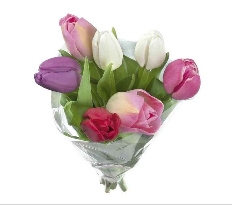 Ramos de tulipanes en LIDL por 1'99€ [En tienda a partir del 13/02]