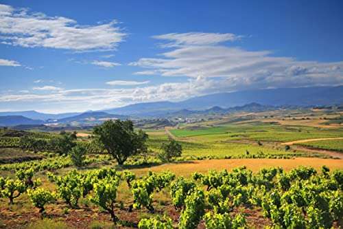 Vino Tinto Viña Cumbrero Reserva Denominación de Origen Calificada de Rioja