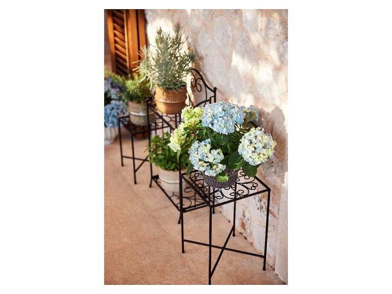 Imagen de Soporte para plantas de metal
